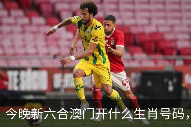 今晚新六合澳门开什么生肖号码，第240期新门澳买什么特码三中三