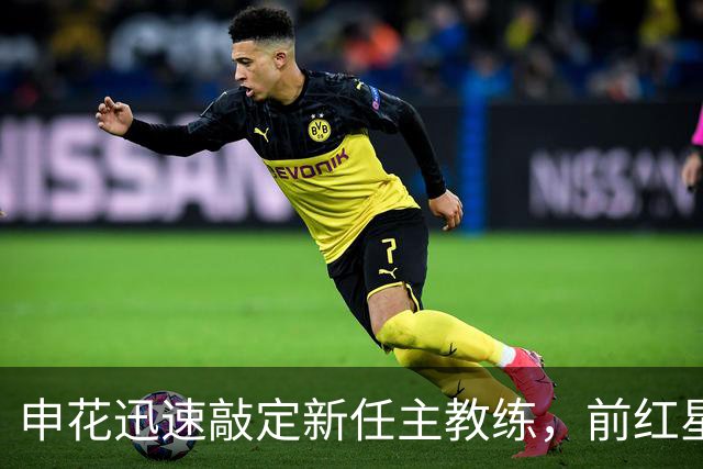 申花迅速敲定新任主教练，前红星主帅接近上任，首秀或是京沪大战